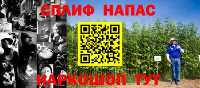 гашик Кинель
