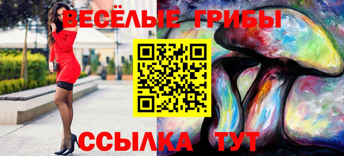 Псилоцибиновые грибы мицелий  Вход с VPN  Лесозаводск  Псилоцибиновые грибы мицелий 