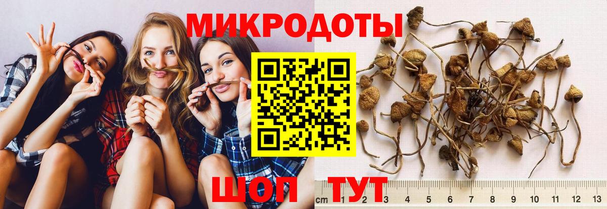 Галлюциногенные грибы прущие грибы Лесозаводск